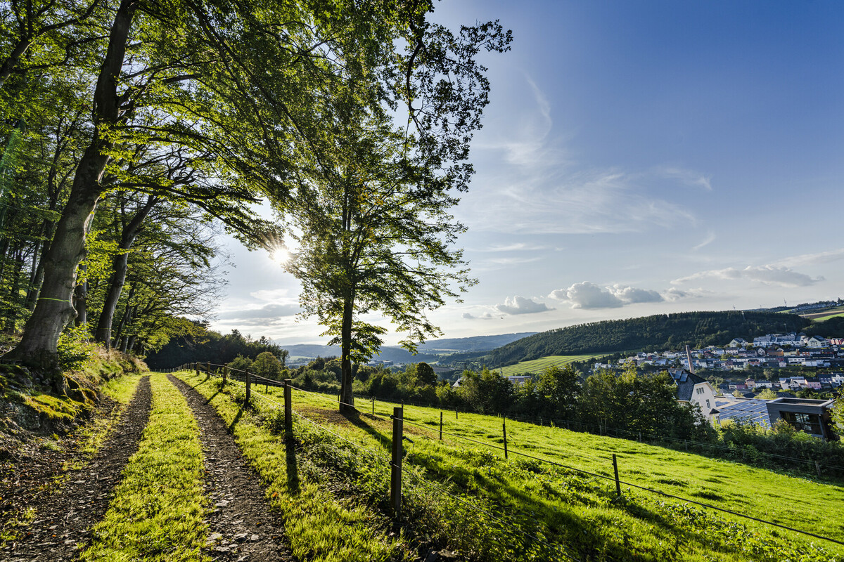 Sentier pédestre Wiltz